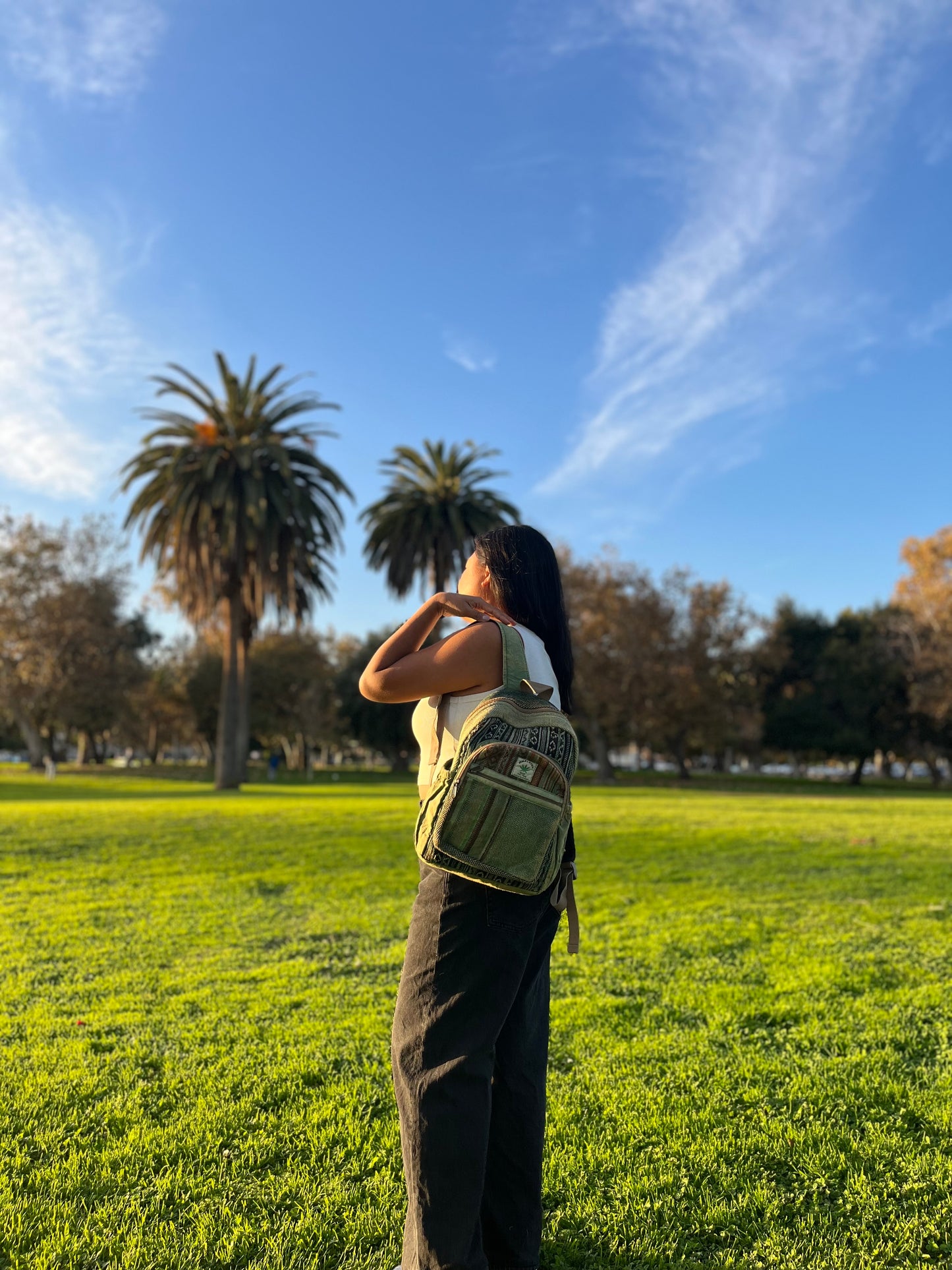 Brown stone Washed Backpack